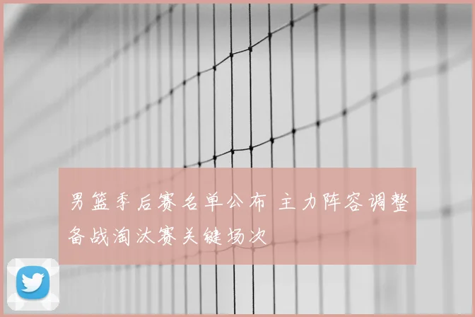 男篮季后赛名单公布 主力阵容调整备战淘汰赛关键场次
