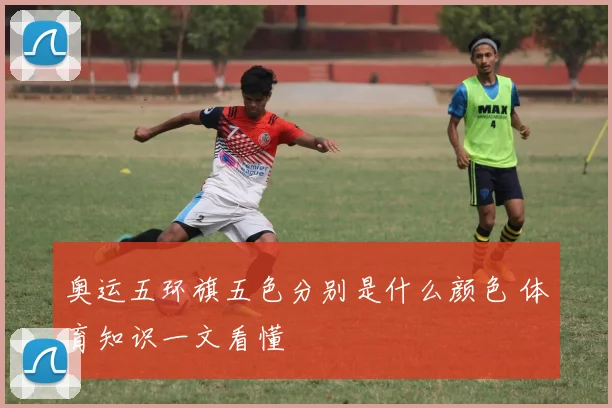 奥运五环旗五色分别是什么颜色 体育知识一文看懂