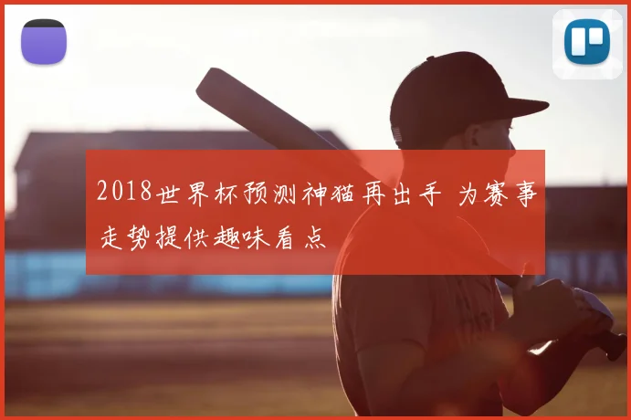 2018世界杯预测神猫再出手 为赛事走势提供趣味看点