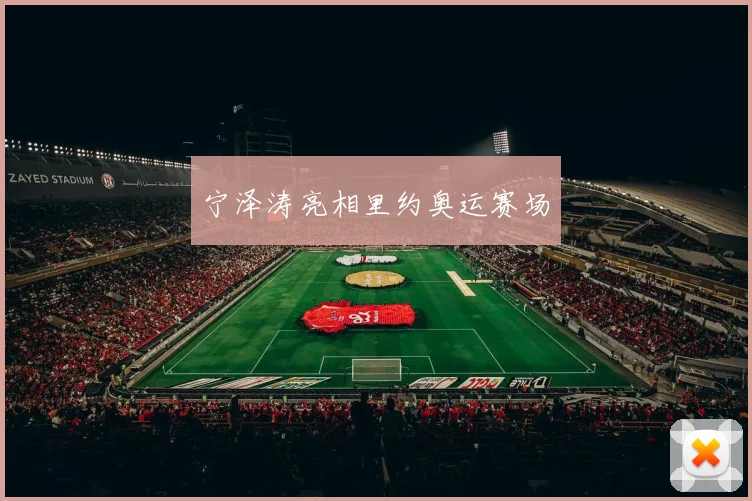 宁泽涛亮相里约奥运赛场